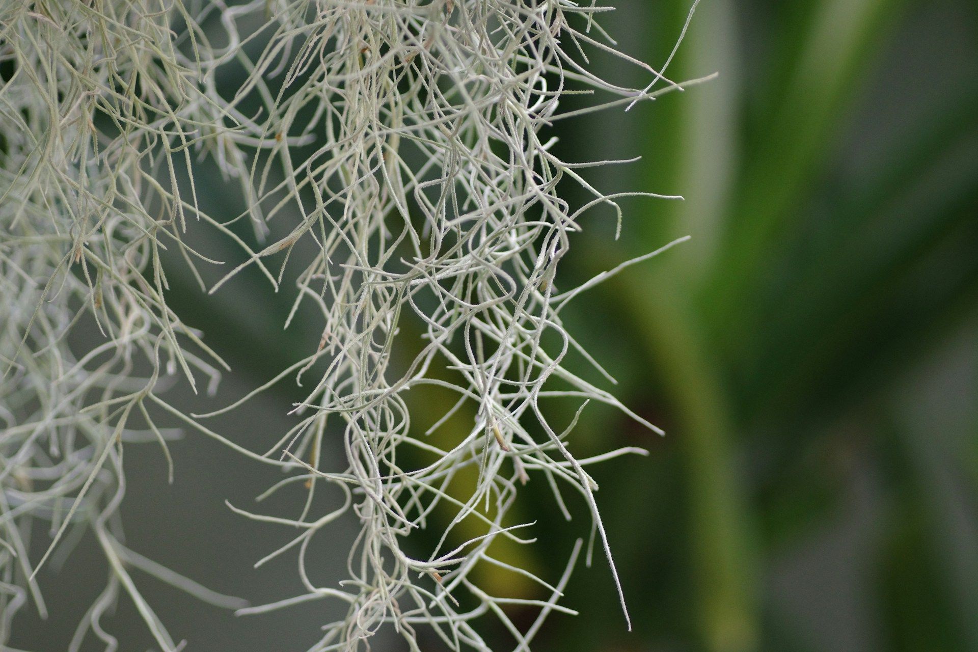 What Comes After the AI Bubble