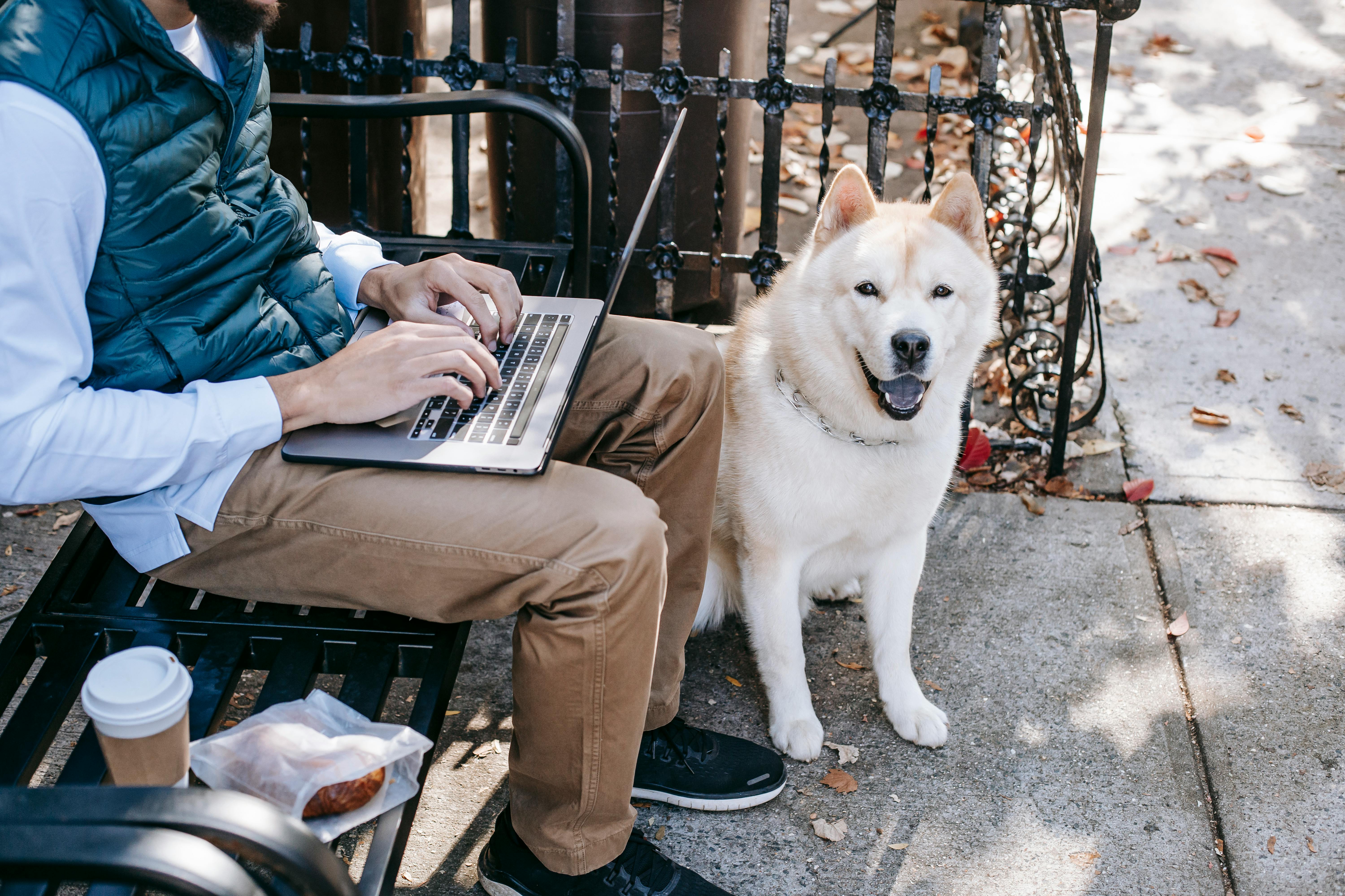 Reflection: Top 5 Tips to Bootstrap From $1.5K to $16K Monthly Revenue and Raise $400K