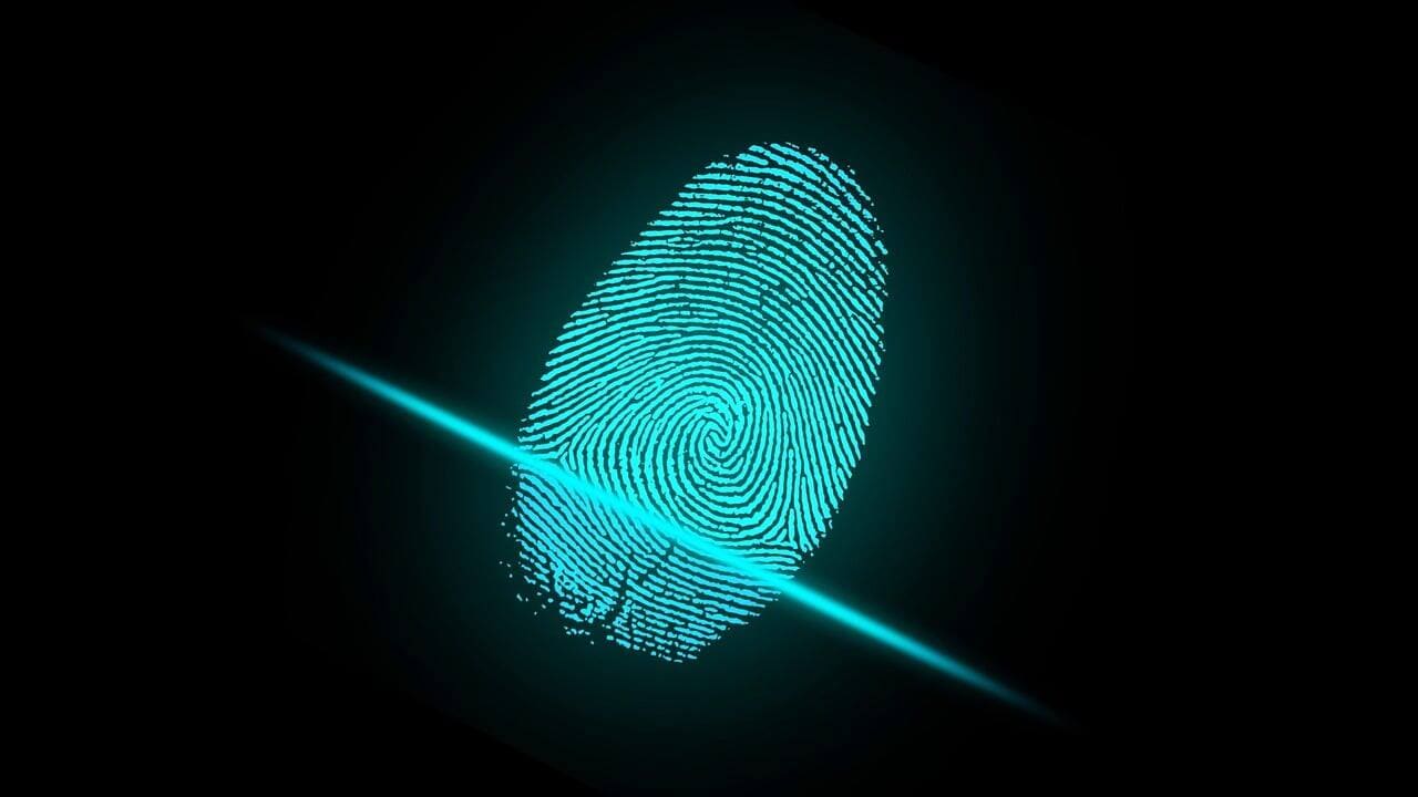 AI's Fingerprints Were Found in 13.5% of Scientific Papers