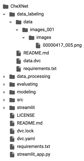 The directory after downloading the first image