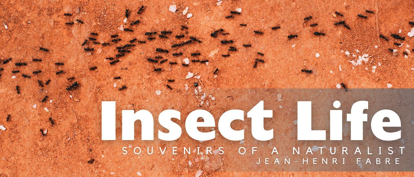 THE SCIENCE OF INSTINCT