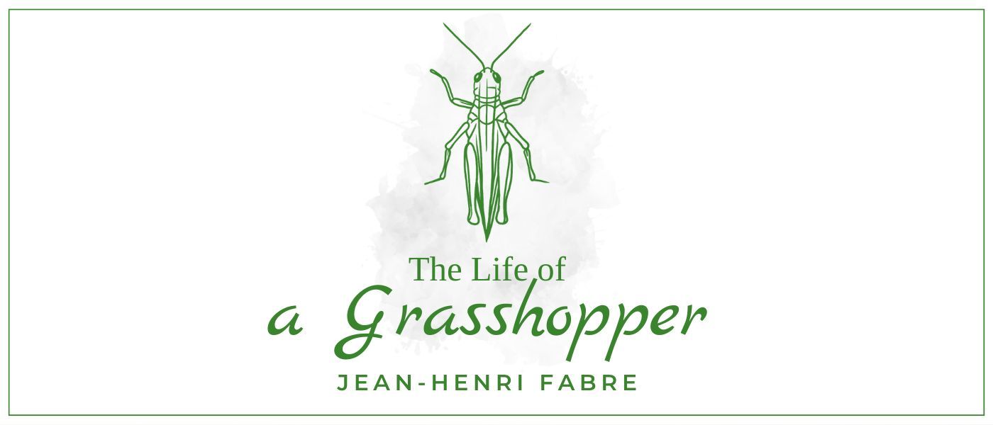 THE FABLE OF THE CICADA AND THE ANT