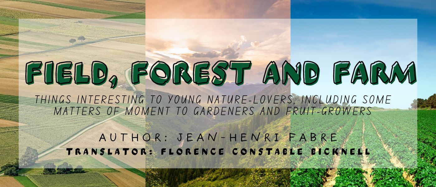 THE ORIGIN OF FERTILE SOIL