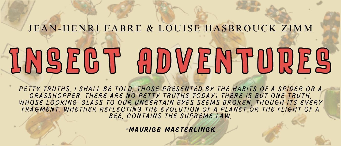 THE BOY WHO LOVED INSECTS