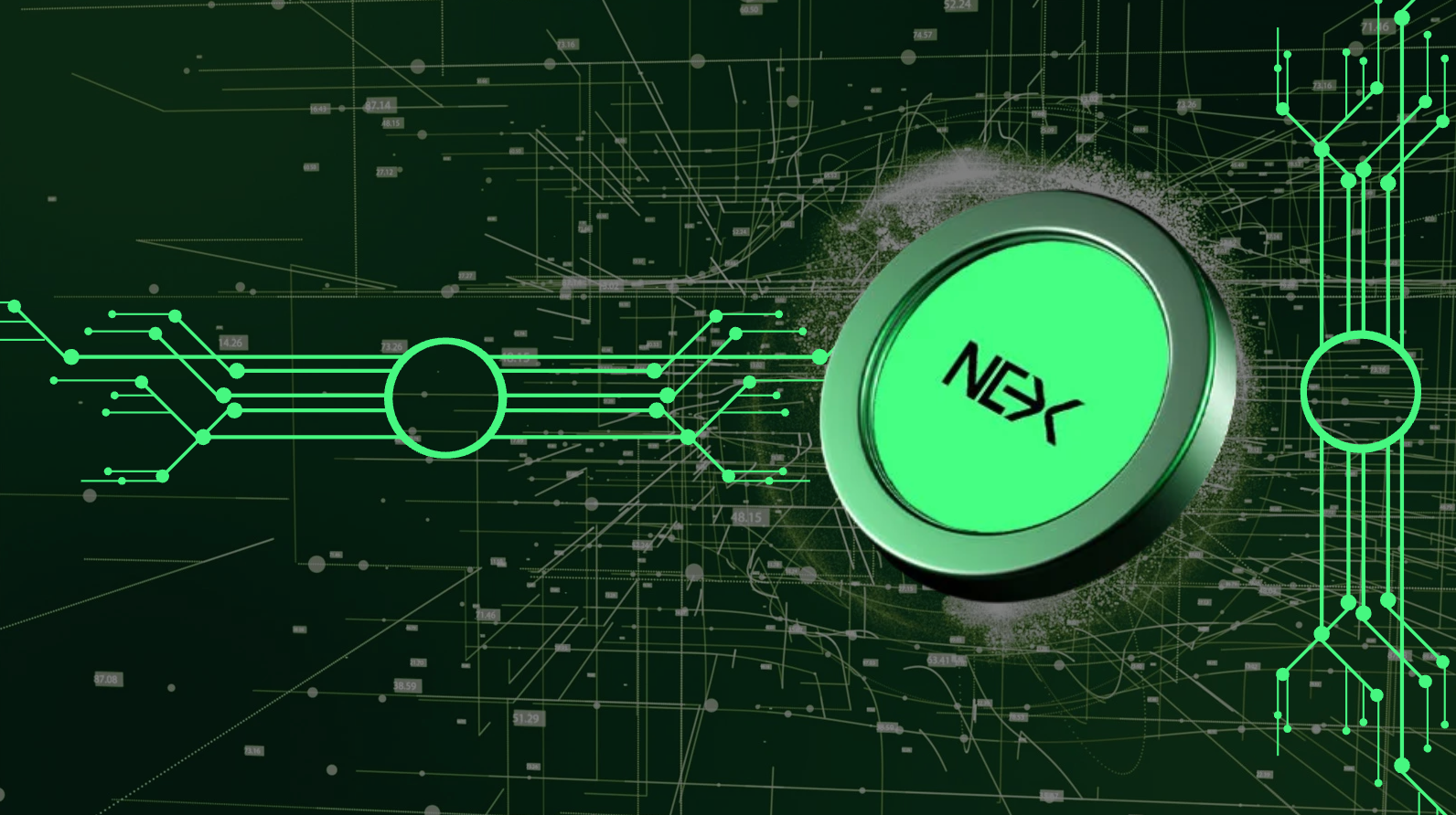 The Rise of Hybrid Blockchains: Nexchain and the Evolving Crypto Landscape