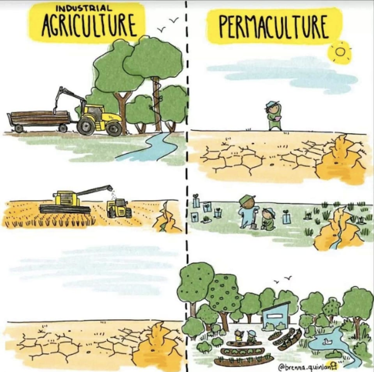 Industrial agriculture vs permaculture. Illustrated by Brenna Quinlan