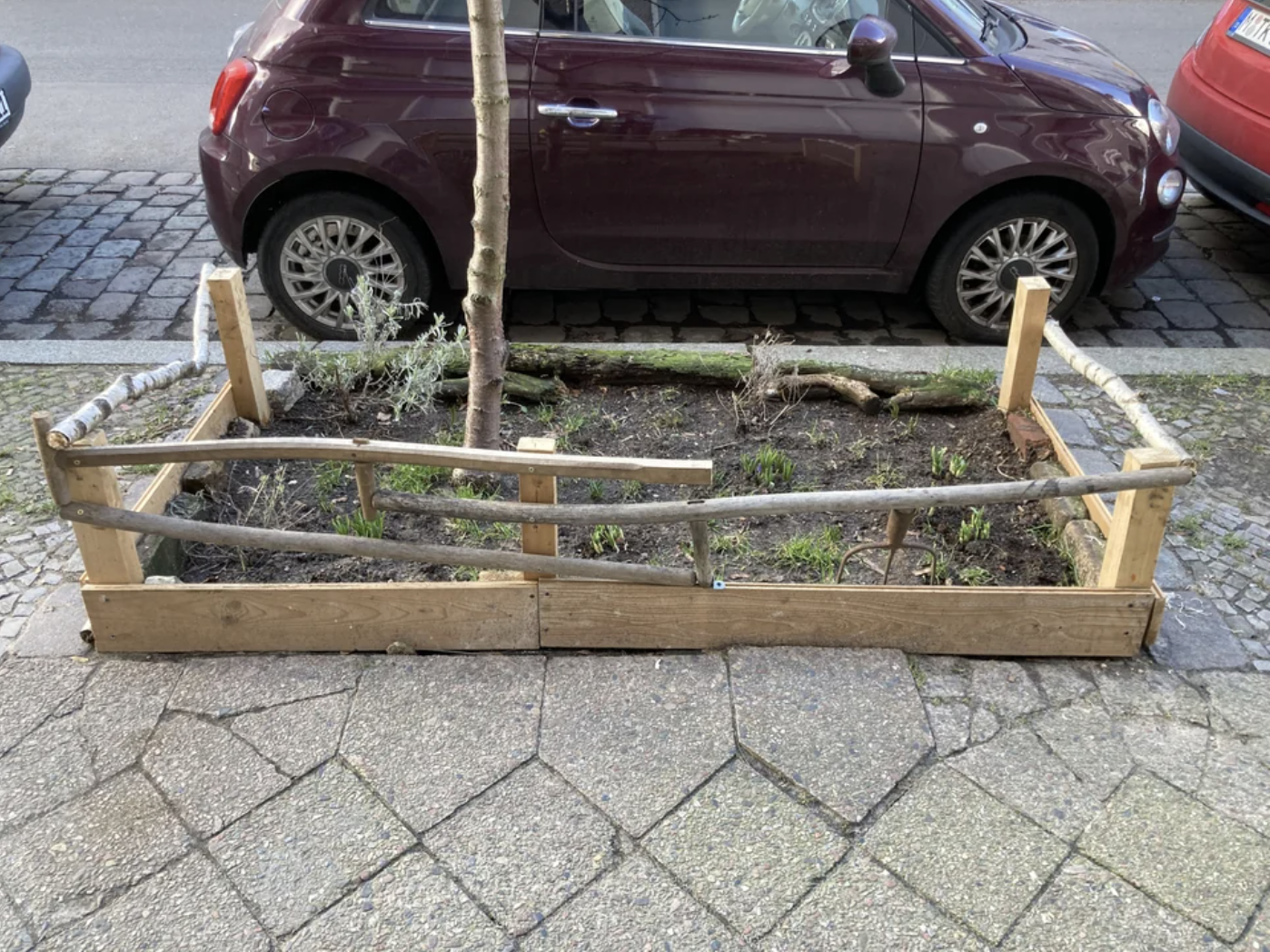 Posted by u/snoozeparty on r/guerillagardening.