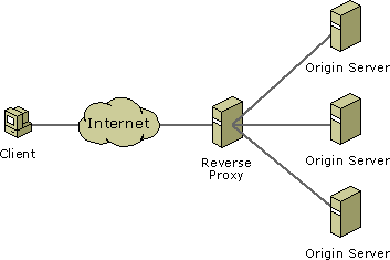 A Reverse Proxy Server in Action