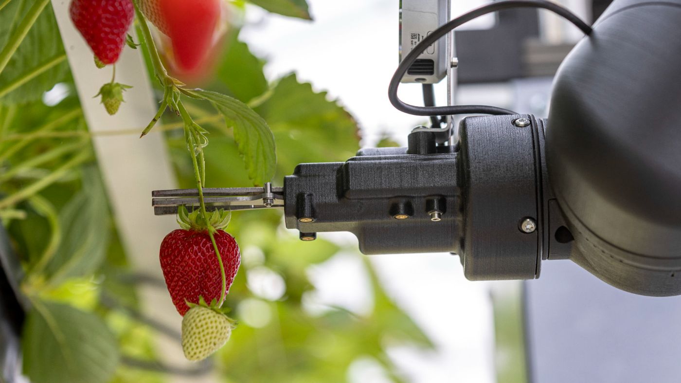 Robotics in Agriculture: Cultivating the Future