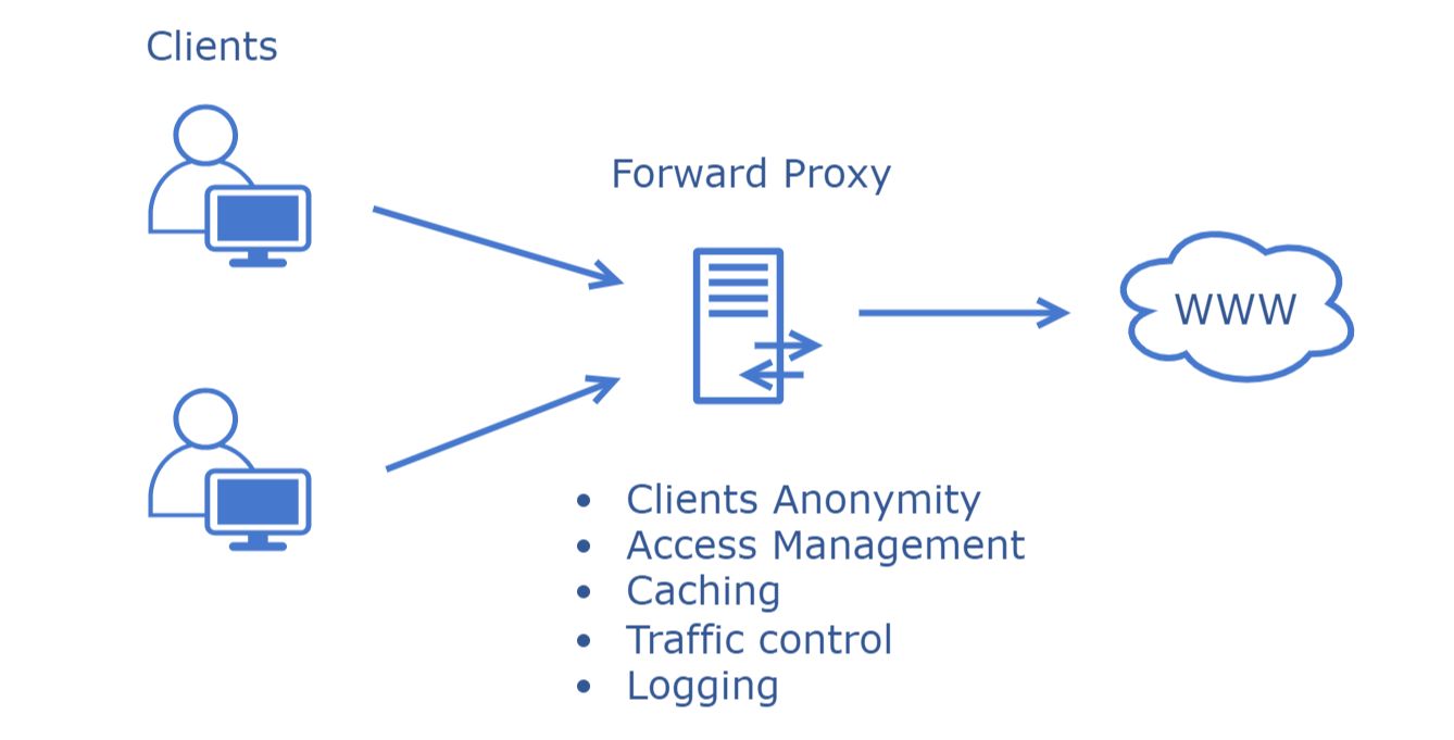 What is a Reverse Proxy Server, Reverse vs. Forward Proxy, CDN Guide