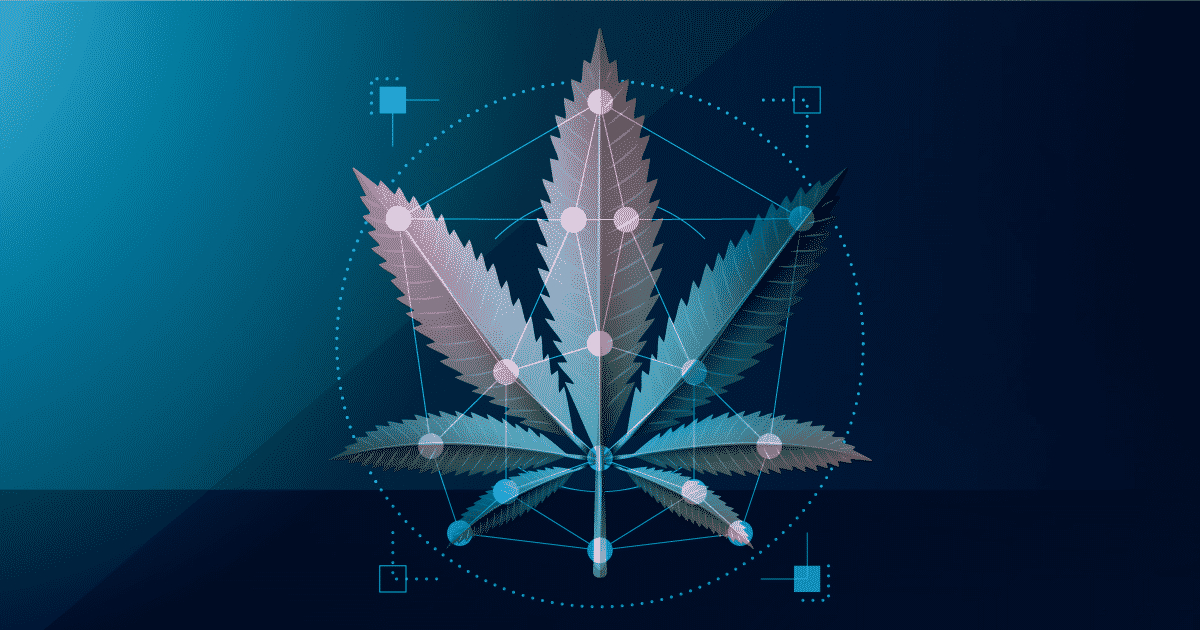 The Rapidly Growing CBD Industry of Europe