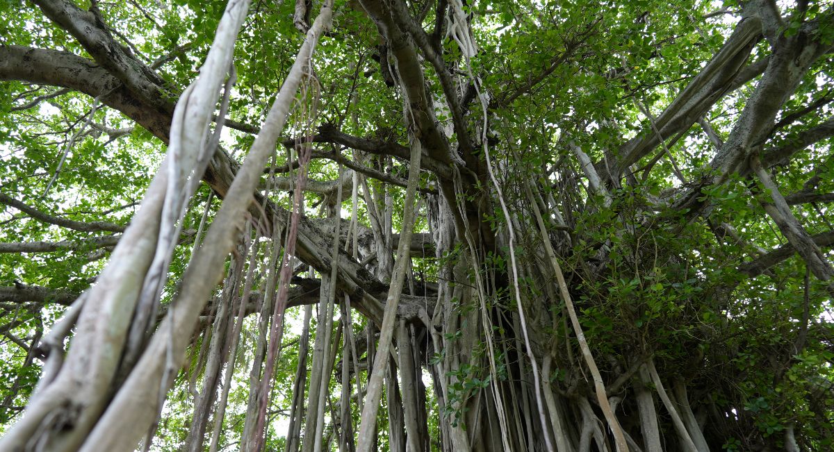 Unconventional Deadlock Fix Inspired by XCTest's "Expectation"