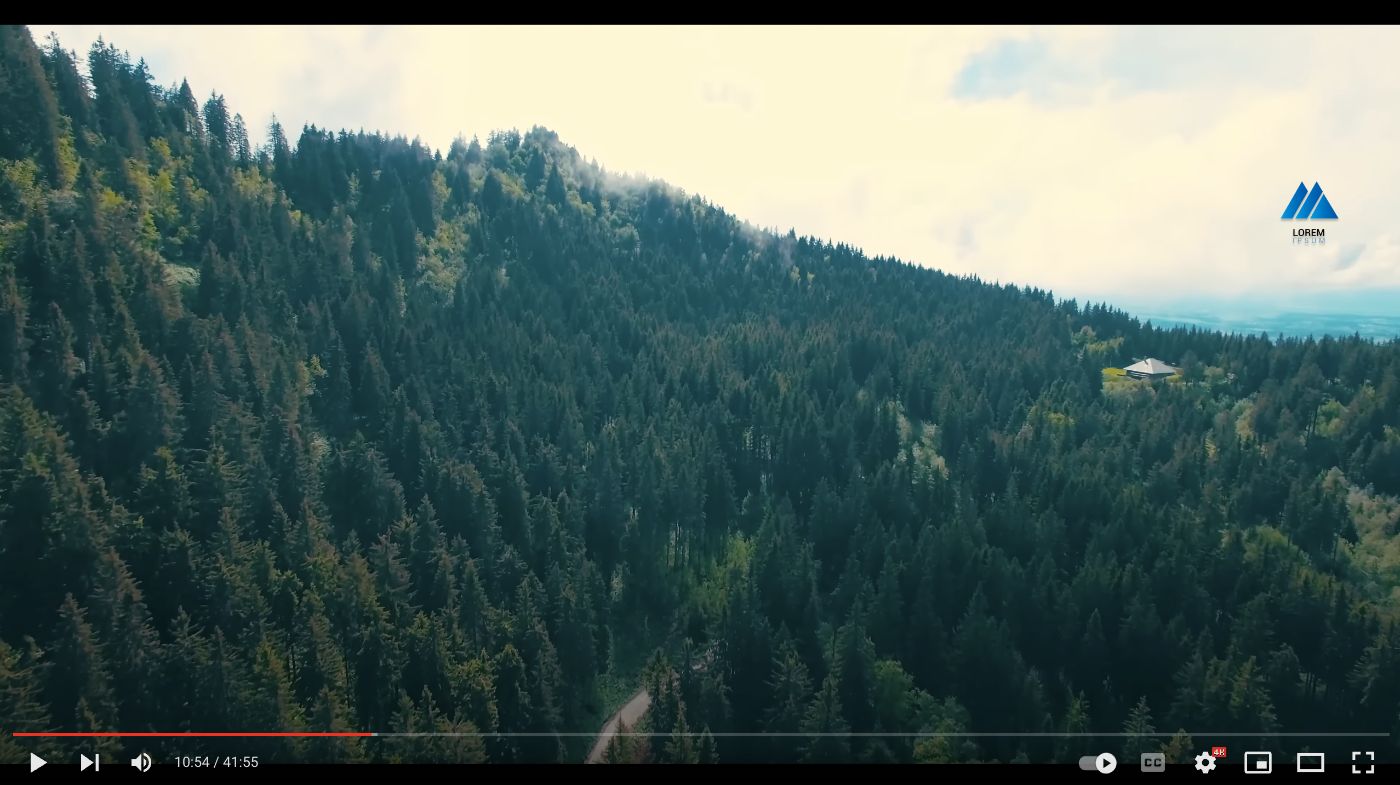 Video Watermarking: A Step-by-Step Guide Using Node.js and ApyHub API