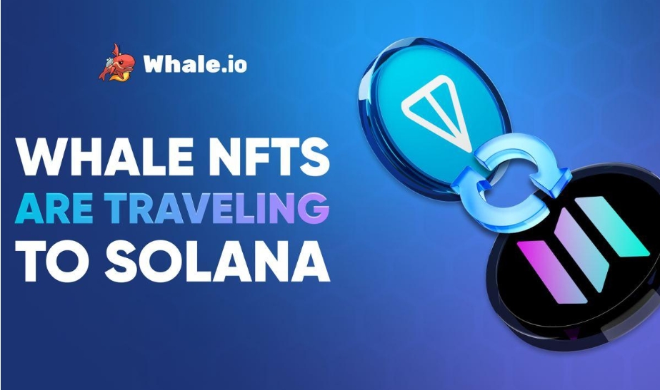 Whale NFT Bridge Goes Live: TON To Solana Migration Launches On Bridgemedaddy.com