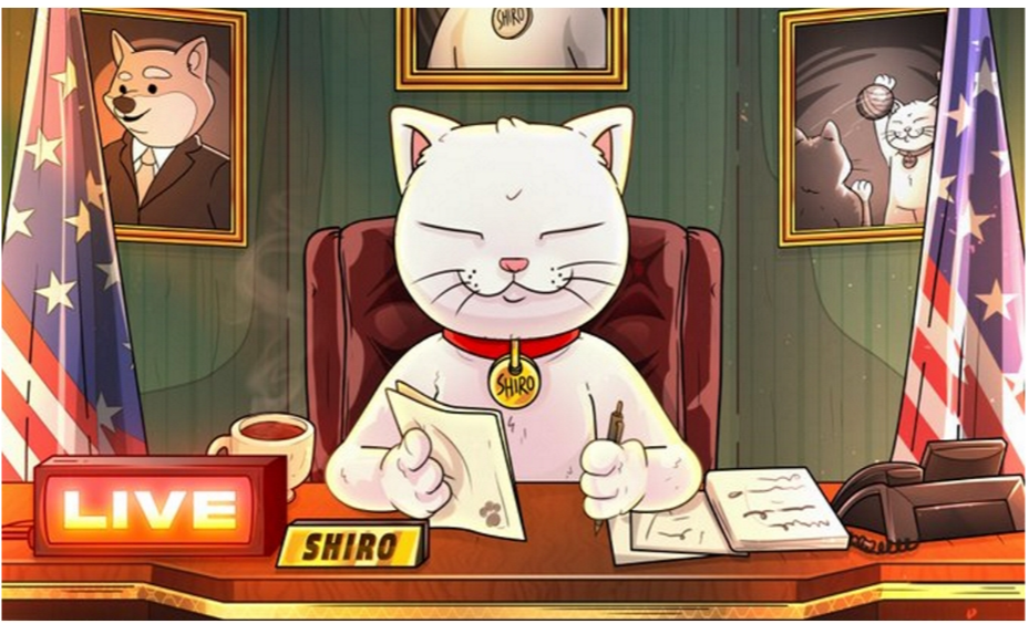 Shiro Neko Achieves $1 Billion Market Cap On Day One