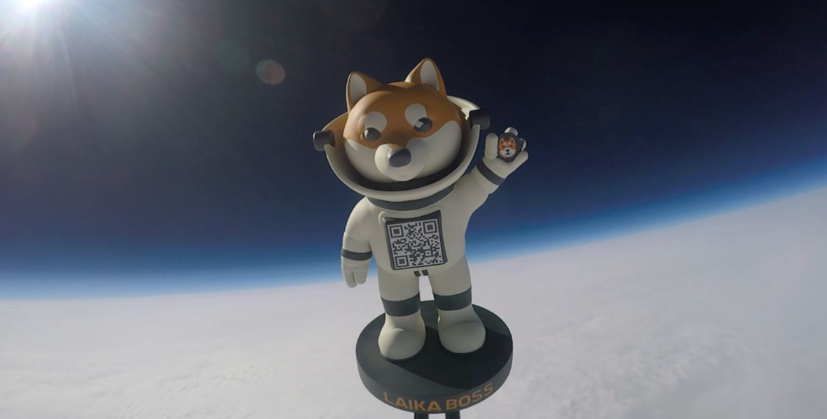Laika Goes to the Moon: A Novel Approach to Memecoin Education and Community Engagement