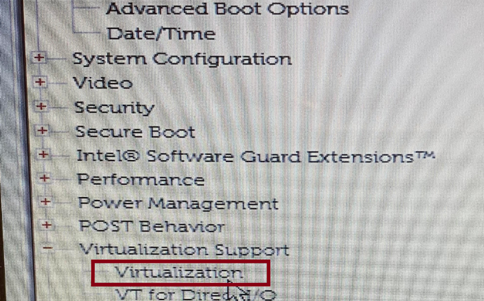 Selecting Virtualization