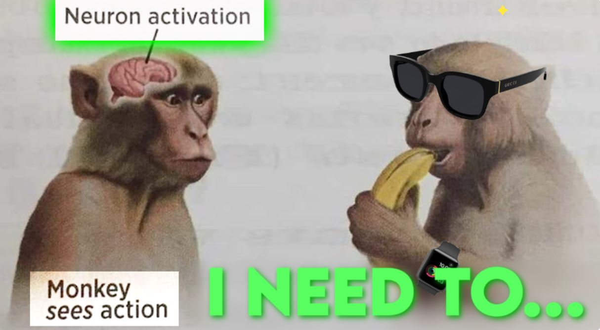 Action Breeds Clarity