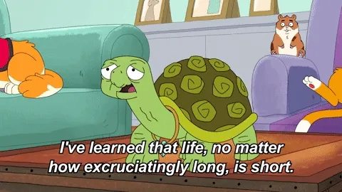 Cutting Through the Bullshit: Embracing a Meaningful Life