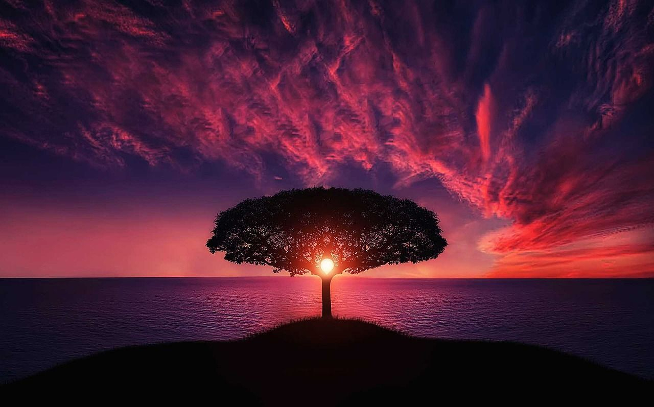 Maximizing Business Value with Strategic Multi-cloud Connectivity.