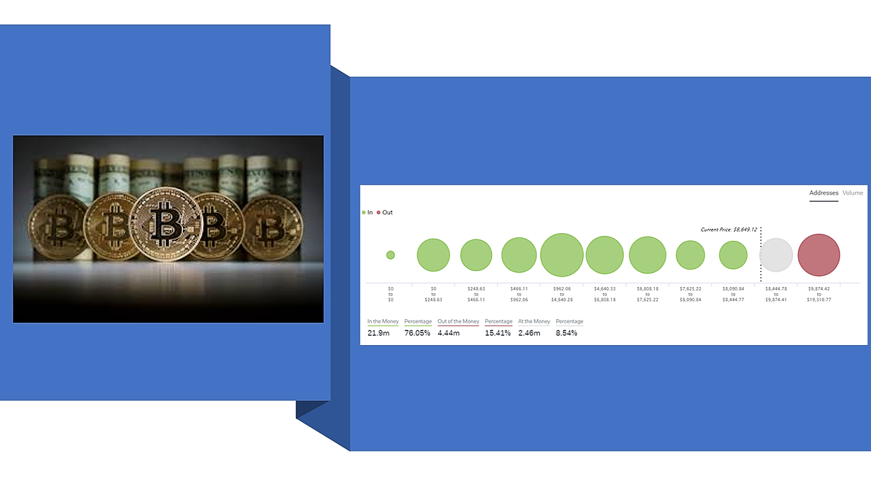 Things I Can Learn From Knowing Who is Making and Loosing Money in Crypto-Assets