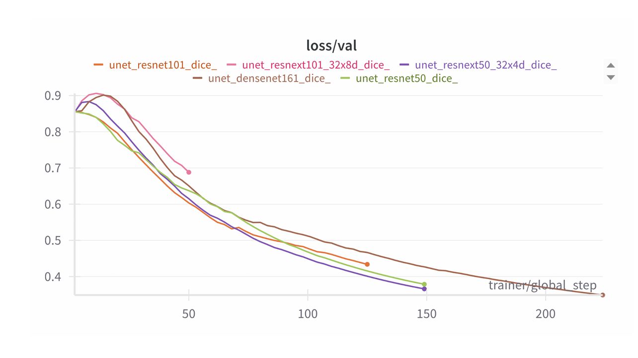 Validation loss curves by backbone