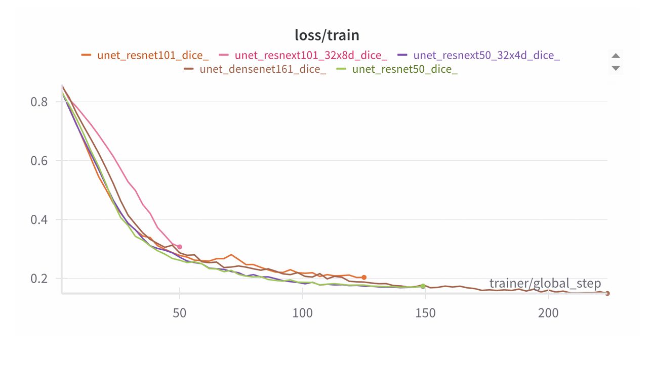 training loss curves by backbone