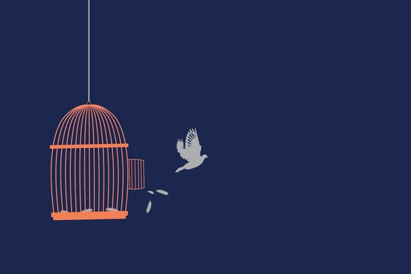 Breaking Free from the Mundane: A 4-Week Journey to Rediscovering Joy in Life and Work