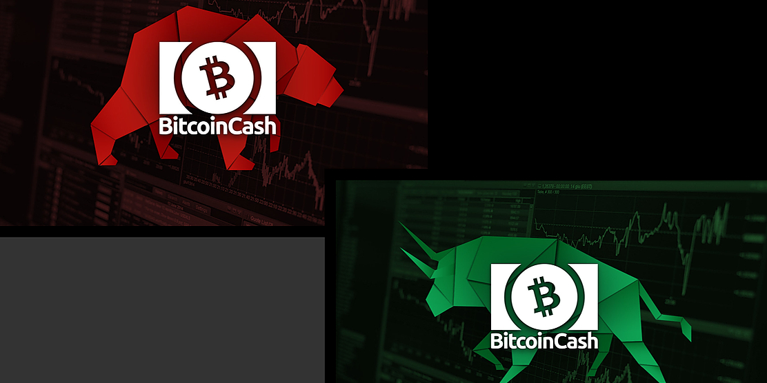 A Data-Centric Introduction to Bitcoin Cash