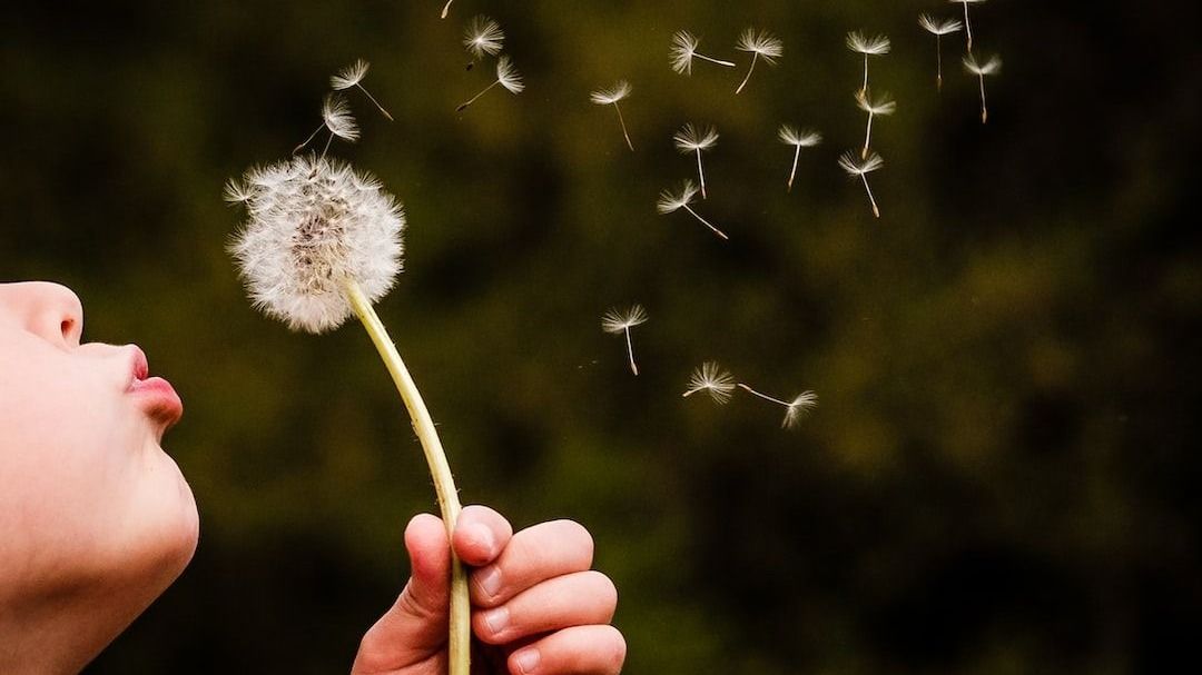 Undoing the Knots of Mind — One Habit at a Time