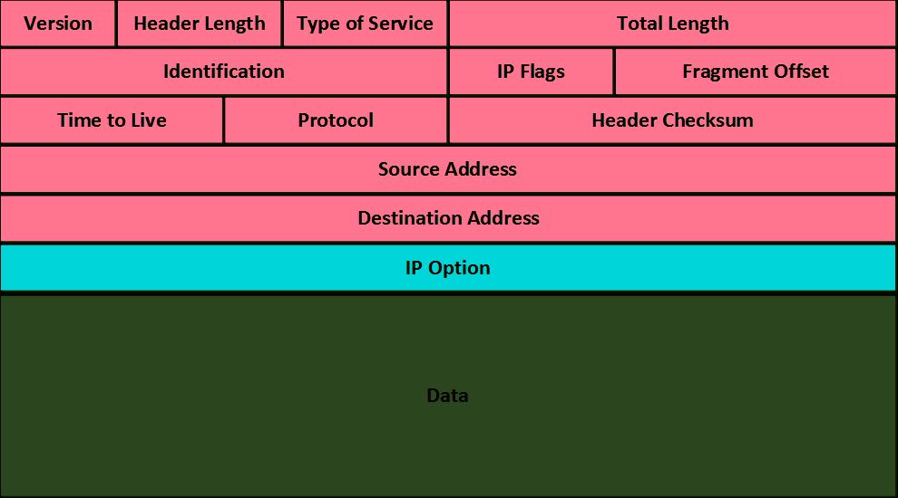 The IPV4 Header 