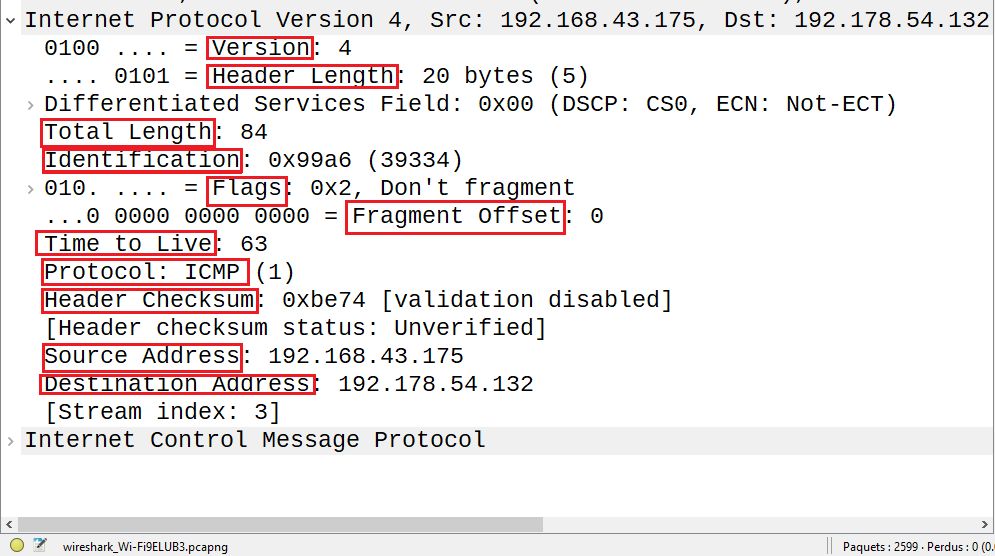 IPV4 Headers after a packet capture on wireshark 