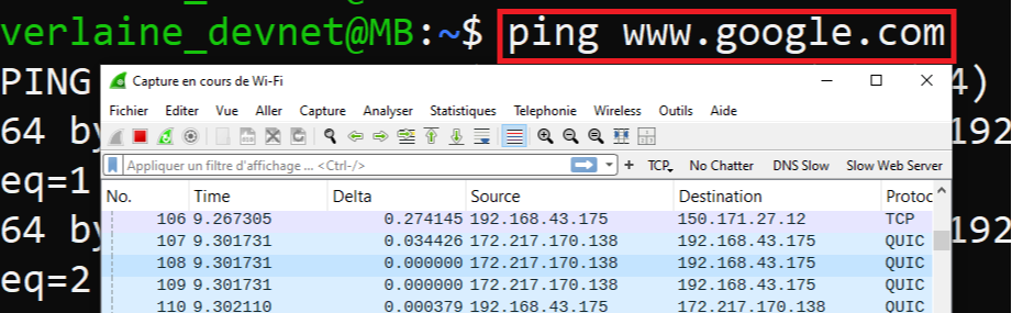 Pinging google and Capturing the traffic on Wireshark