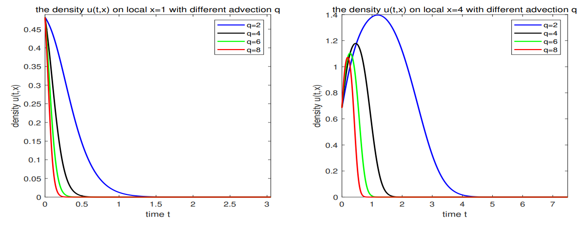 Fig. 8. The species density of u with different q at location x = 1, 4