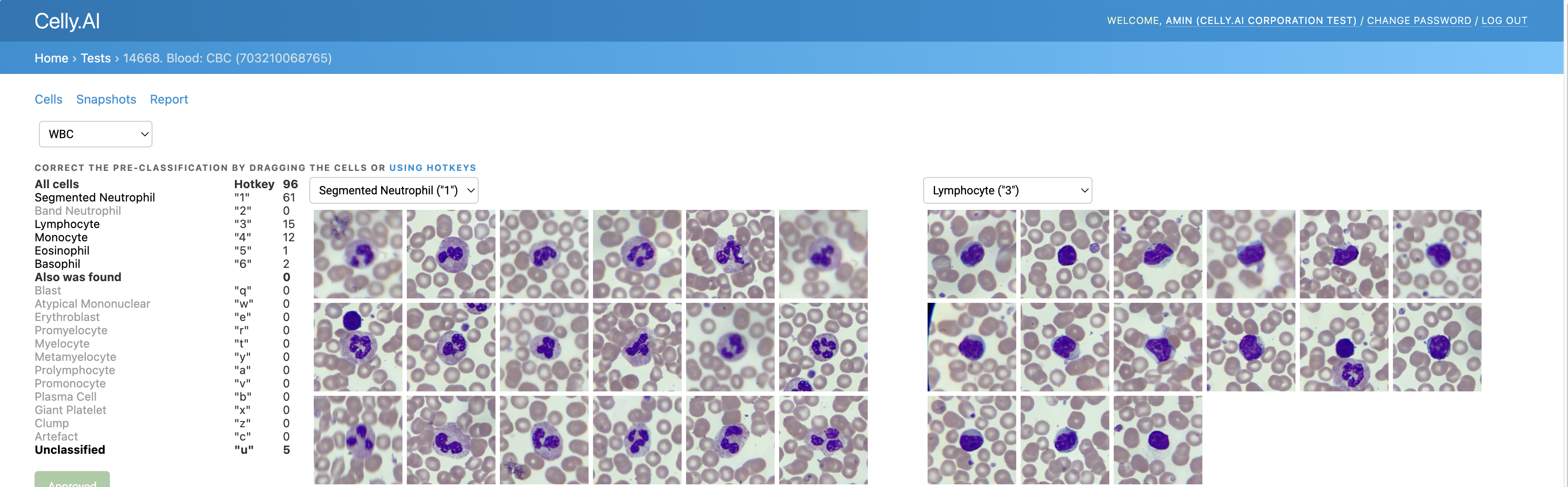 Web portal with details of the conducted analysis