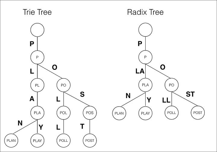 Conceptual Representation of a Classic Tree and a Radix Tree