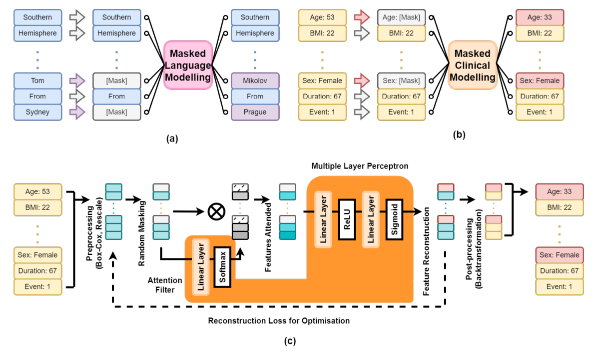 Figure 1. An overview of our masked clinical modelling framework.