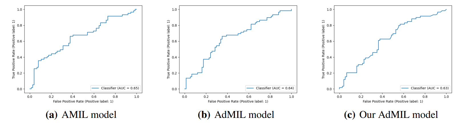 Figure 5: ROC curves for one of the runs of the TP53 mutation Detection Task (10x magnification)