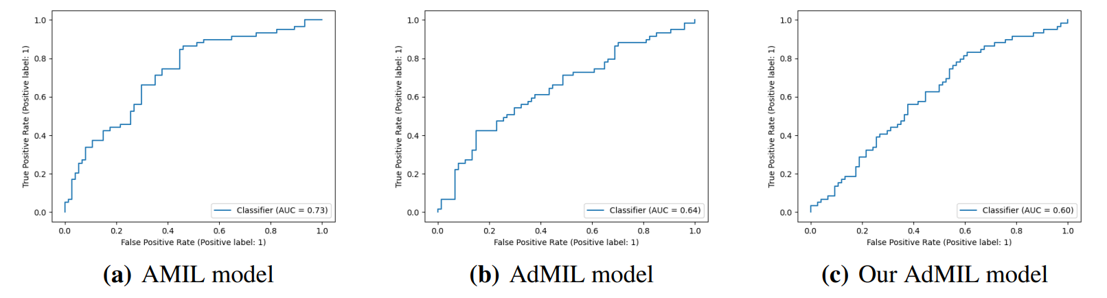 Figure 6: ROC curves for one of the runs of the TP53 mutation Detection Task (20x magnification)