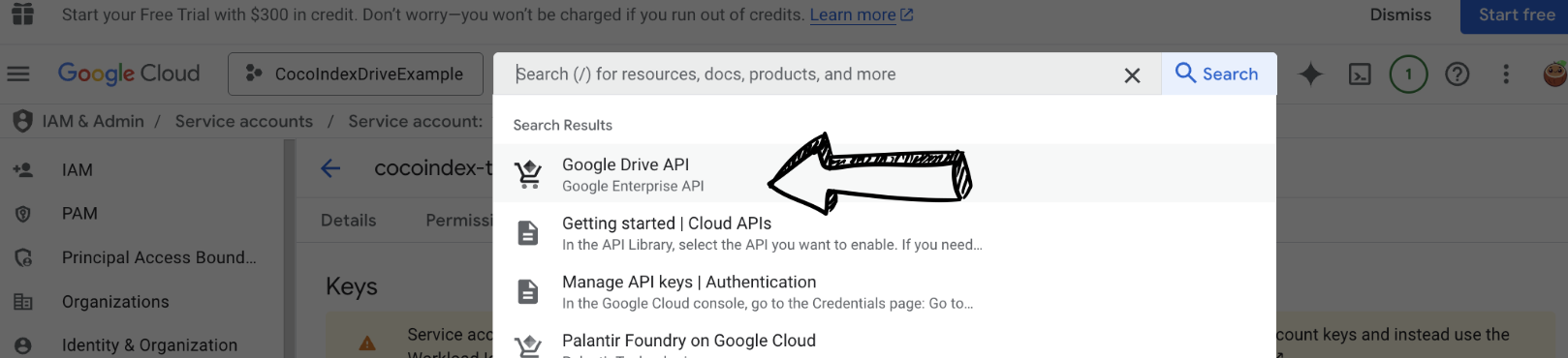 Google Drive API