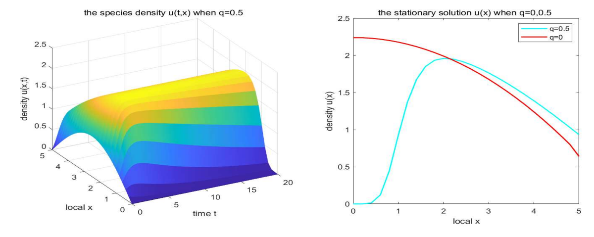 Fig. 1. Persistence of u for q = 0.5