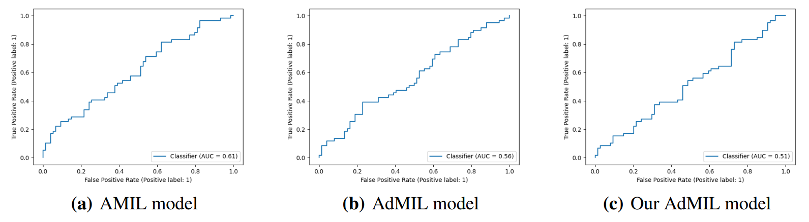 Figure 4: ROC curves for one of the runs of the TP53 mutation Detection Task (5x magnification)