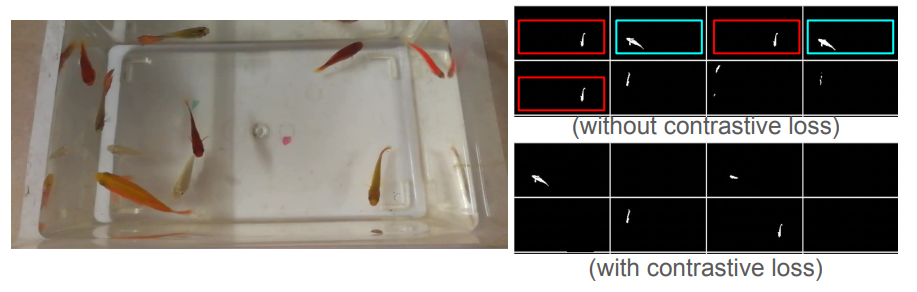 Fig. S5: The repetitative predictions without contrastive loss (top-right) are highlighted with red and cyan boxes. Contrastive loss (bottom-right) helps in suppressing these repetitions.