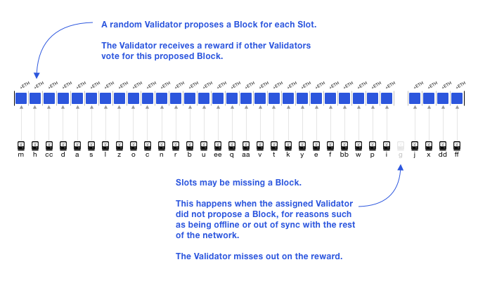 https://ethos.dev/assets/images/posts/beacon-chain/Beacon-Chain-Validators.png.webp