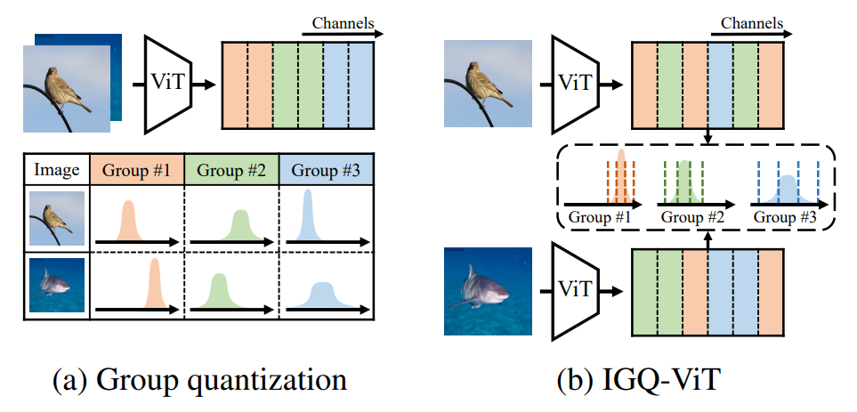Figure 1. Visual comparison of group quantization and IGQ-ViT. (a) Conventional group quantization techniques [7, 32] divide consecutive channels uniformly into a number of groups without considering their dynamic ranges. The distribution of activations in each group varies significantly for individual input instances. (b) To alleviate this problem, IGQ-ViT proposes an instance-aware grouping technique that splits the channels of activation maps and softmax attentions across tokens dynamically for each input instance at runtime.