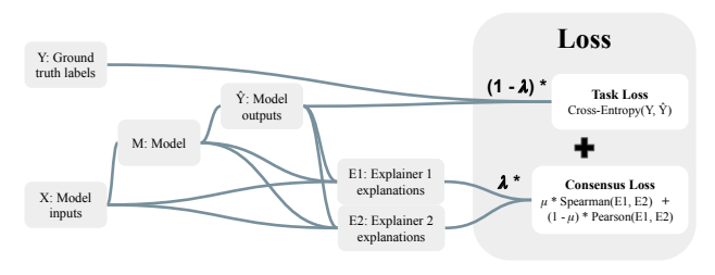 Figure 2: Our loss function measures the task loss between the model outputs and ground truth (task loss), as well as the disagreement between explainers (consensus loss). The weight given to the consensus loss term is controlled by a hyperparameter 𝜆. The consensus loss term term is a convex combination of the Spearman and Pearson correlation measurements between feature importance scores, since increasing both rank correlation (Spearman) and raw-score correlation (Pearson) are useful for improving explainer consensus on our many agreement metrics.