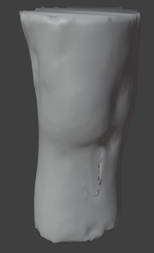Figure 3. 3D scan of a human leg processed in Blender.