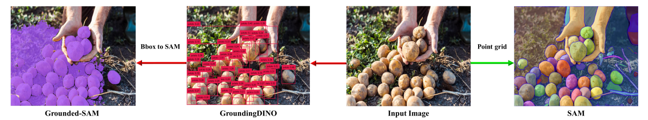 Figure 2: Segmentation results obtained from SAM and Grounded-SAM for the given input image.