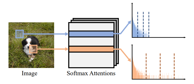 Figure 3. Distributions of softmax attentions across tokens. We can see that the distributions are different significantly across tokens. Our approach can handle this issue by splitting the rows of softmax attentions into several groups and applying separate quantizers for each group, such that the attentions assigned to each group share similar statistical properties.