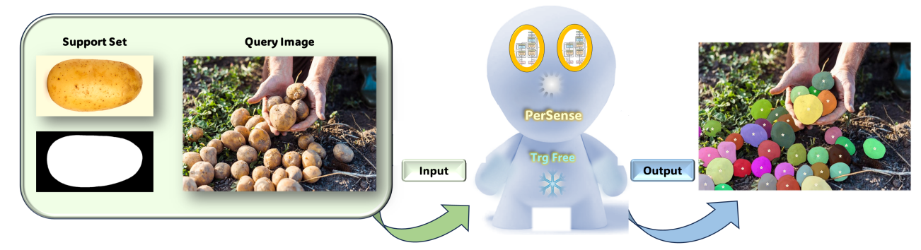 PerSense: A One-Shot Framework for Personalized Segmentation in Dense Images